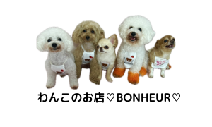 ♡BONHEUR♡ DOG CAKE