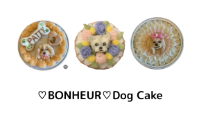 わんこのケーキ　メニュー
